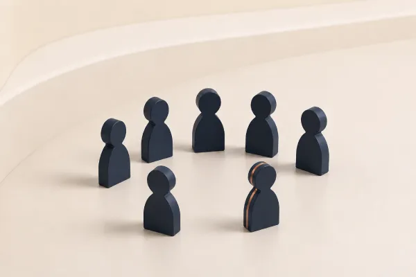 Adding a team member or consultant to the team